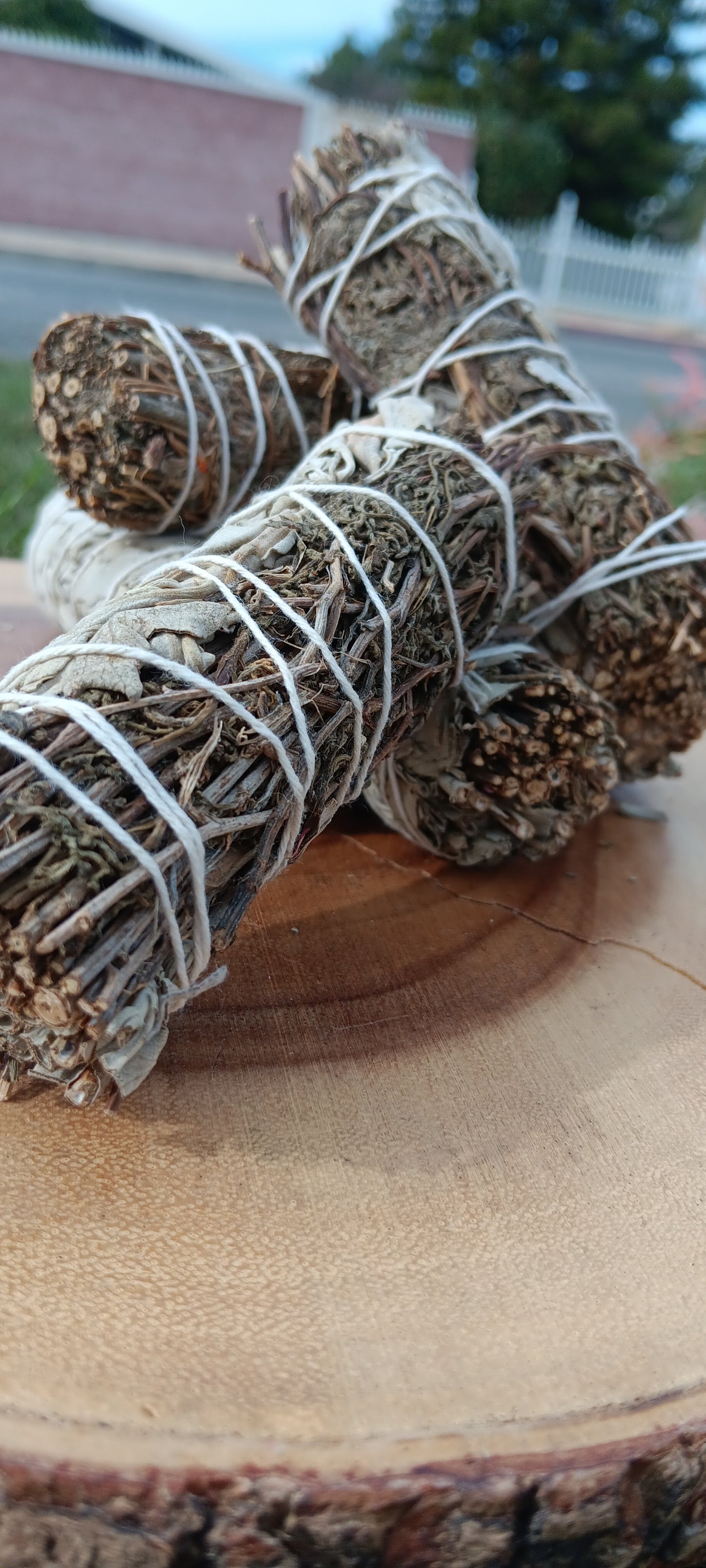 Mugwart & White Sage 4'