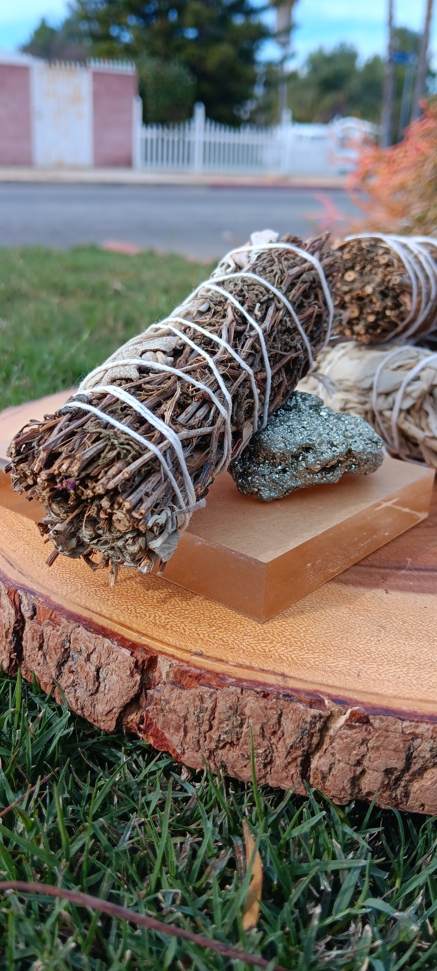 Mugwart & White Sage 4'