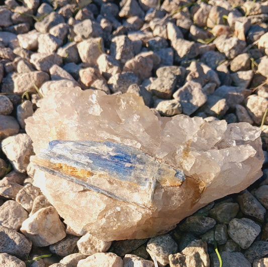 Premium Natural Blue Kyanite THICK CHUNK with quartz (Raw Crystal Rough)