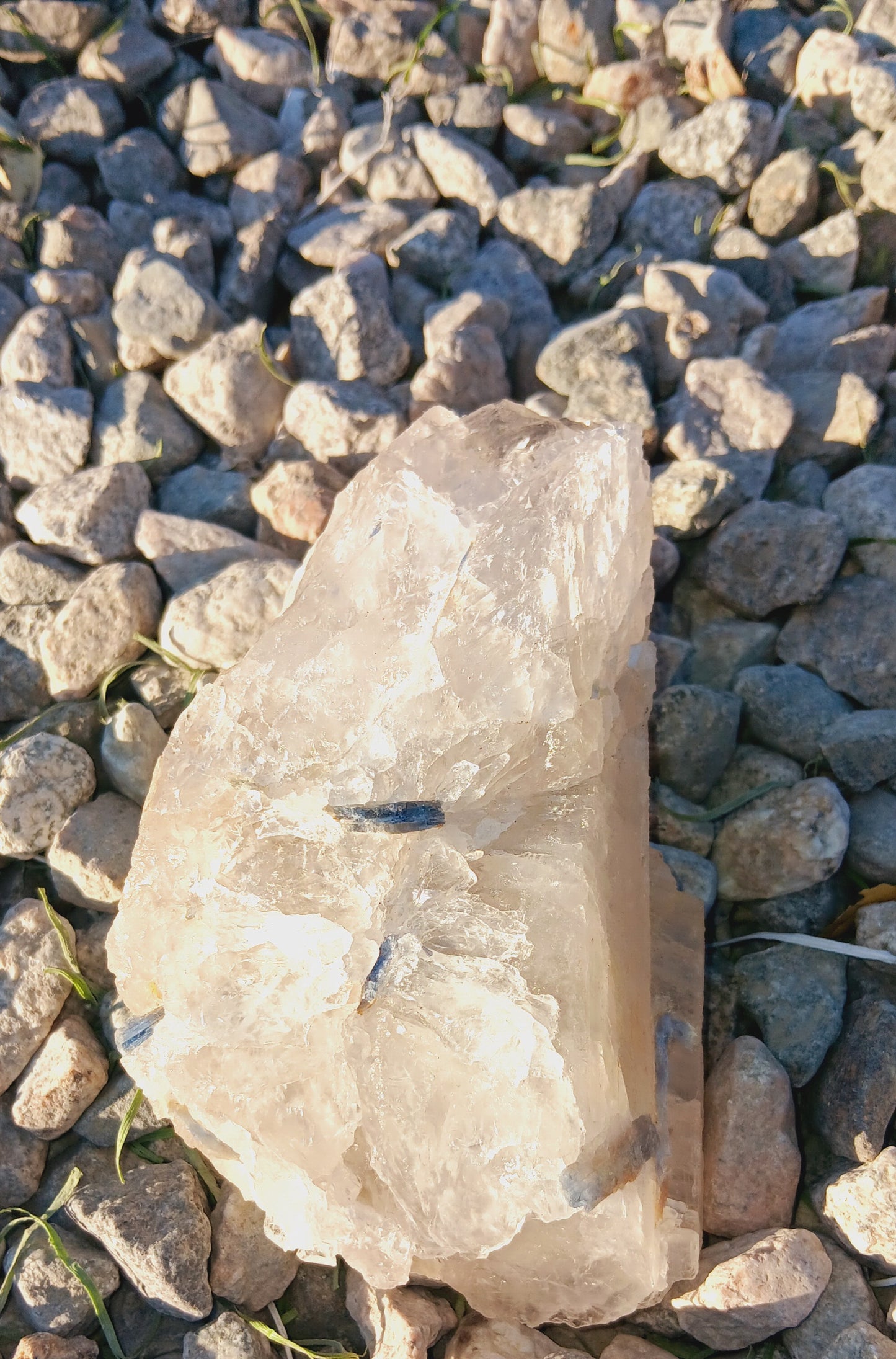 Premium Natural Blue Kyanite THICK CHUNK with quartz (Raw Crystal Rough)