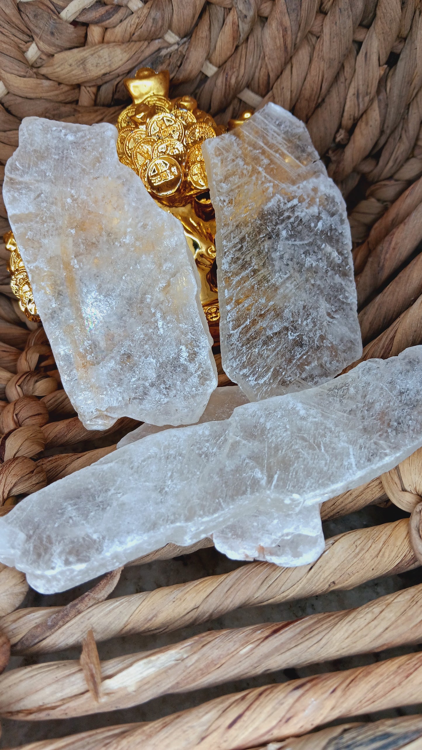 Fishtail Selenite/ Raw Selenite/ Angel Wing Selenite