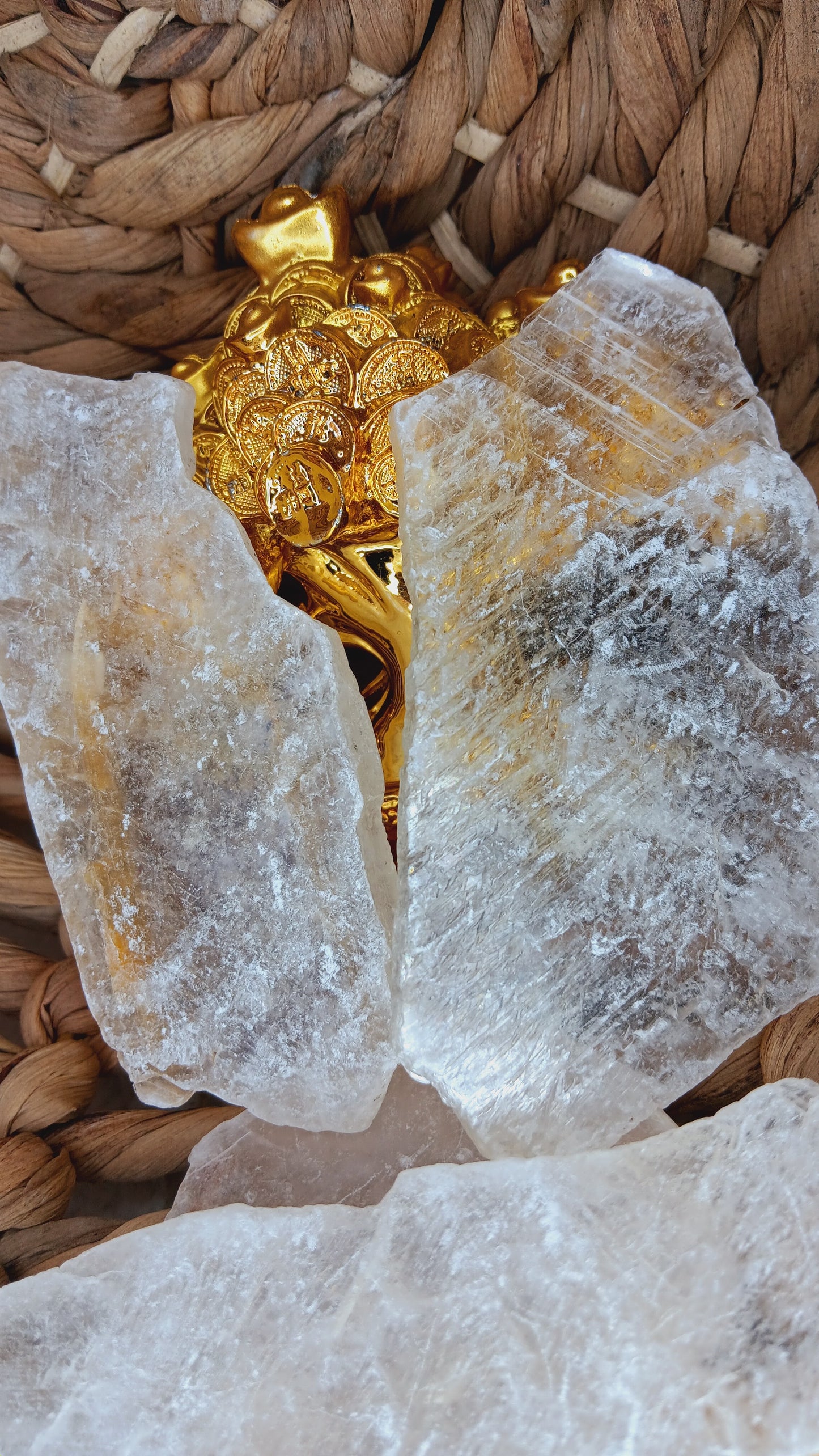 Fishtail Selenite/ Raw Selenite/ Angel Wing Selenite