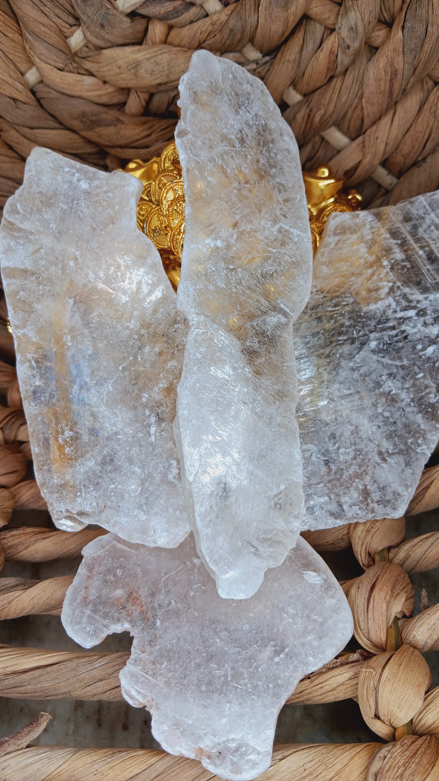 Fishtail Selenite/ Raw Selenite/ Angel Wing Selenite